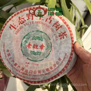 Alternative view of Trà Phổ Nhĩ Sống Sinh Thái Dã Sanh Mạnh Hải Phiên Bản Giới Hạn 2004
