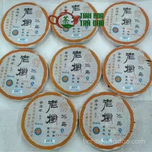 Alternative view of Trà Phổ Nhĩ Sống Lão Thụ Băng Đảo Cổ Kiều Mộc Phiên Bản Giới Hạn Quân Trọng Hiệu Năm 2008