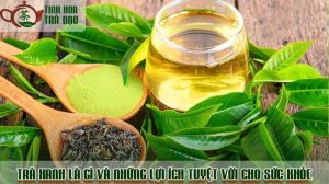 Trà xanh là gì? Bí quyết sống khỏe đẹp từ thiên nhiên