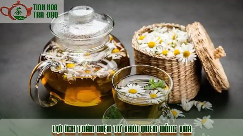 Việc tìm hiểu uống trà có tác dụng gì giúp bạn tận dụng tối đa nguồn dưỡng chất quý giá