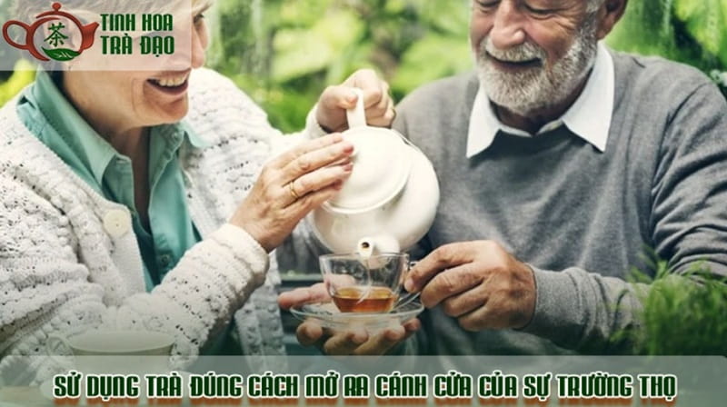Sử dụng trà đúng cách là chìa khóa vàng mở ra cánh cửa sức khỏe và sự trường thọ